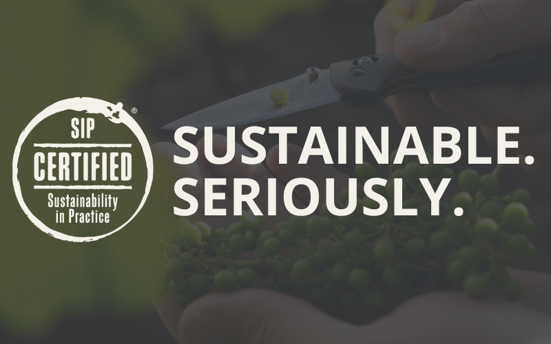 Meet Your SIP Certified Tool Kit Webinar